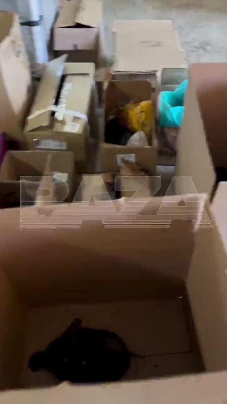 ����� 250 ���� �������� � ������������� ��������������� ���� ����� �� ��������� �����