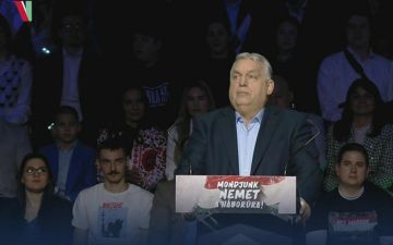 ������� ���������� ������ ������������ "������" �� ��������� ���� ����� ������ �������� ������ "�����" �� ������������� ������� � �������