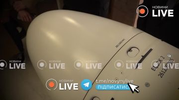 ����� ���������� �������� ������ Areion, �������������� �� �������� � �����