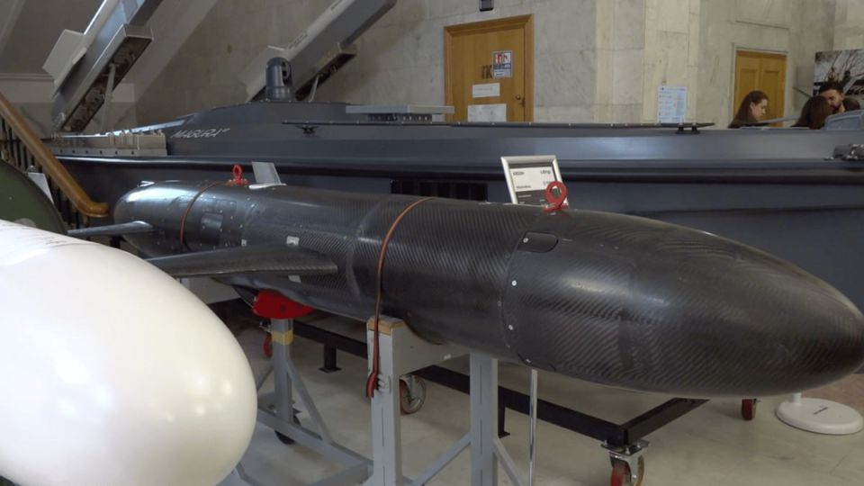 Новая украинская крылатая ракета Areion, представленная на выставке в Киеве Новая украинская крылатая ракета Areion, представленная на выставке в Киеве