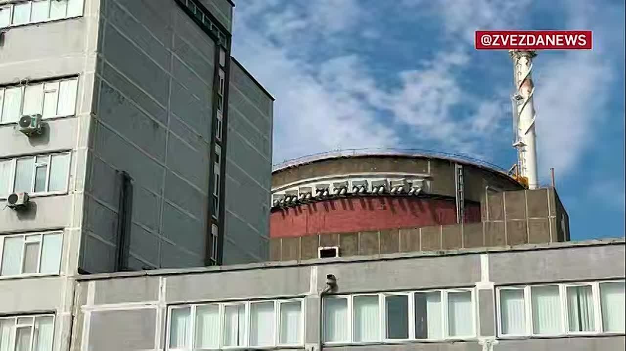 Юлия Витязева: Украина - страна-террорист!