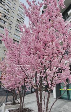 ������ ����, ����������! �������� �� ��� ��������, ������� ������ ��� ����� ����