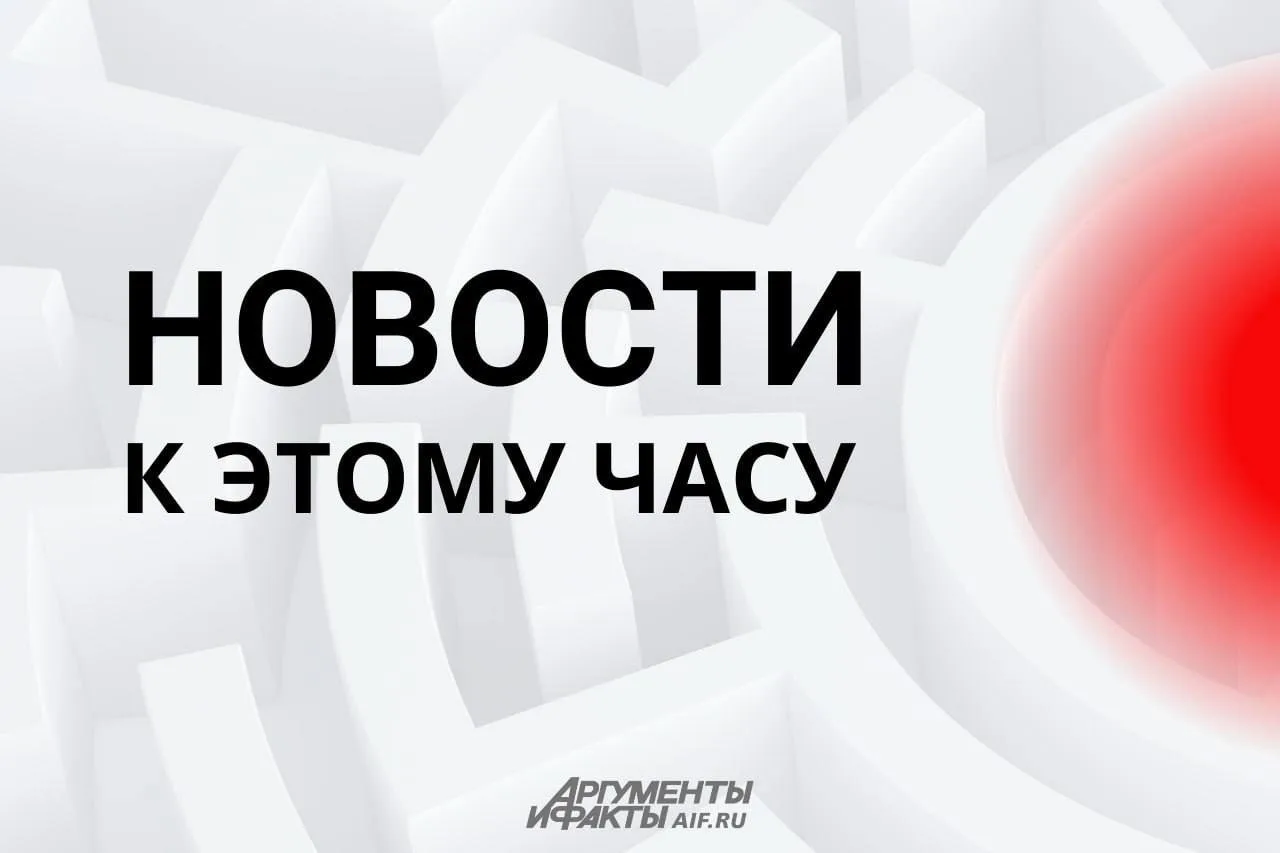Четверых подростков обвинили в совершении и подготовке терактов и диверсии, сообщила представитель Следкома РФ Петренко