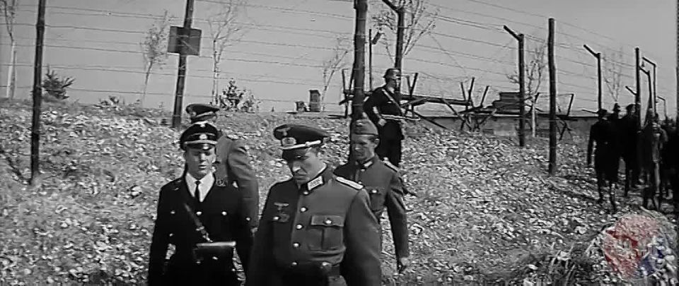 � ����� ��������������� ������ � �������� �������� ���������� ��� ��������� � ����� ���������� �����������-�������� �����, � �������� ��������� ������� �������������