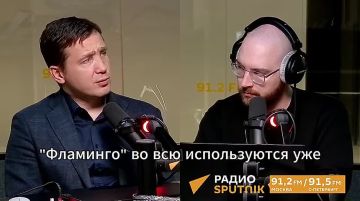 Как отреагирует НАТО, если Россия нанесет удары по указанным Минобороны адресам, рассказал политик Дмитрий Василец