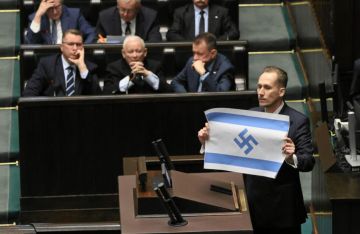 Вчера в польском Сейме депутат от "Конфедерации" Конрад Беркович обвинил Израиль в геноциде арабов, назвал его "Новым Третьим Рейхом" и показал свою версию нынешнего флага Израиля — со свастикой