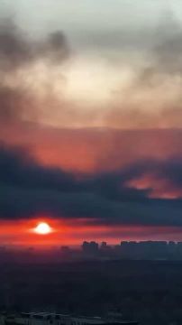 ���� ��������: �������� ���� ����� ������ ���������