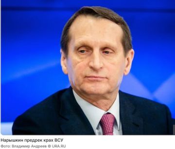 Александр Зимовский: Но разведка доложила точно