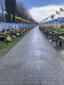 ��������� ���������� �������� ��������� ������� ��� �� �����