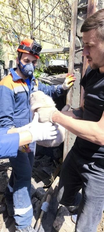 Нефтебаза в Туапсе горит вторые сутки, девочку под завалами найти не смогли Нефтебаза в Туапсе горит вторые сутки, девочку под завалами найти не смогли