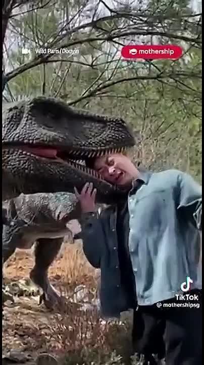 ������ ����, ����������! ����� �����, ��� ����� ������� ���, ��� ��������� ������ ������ � ����� ���������, �� ��� ��������� ��������� ������ � �����: 6.. 16