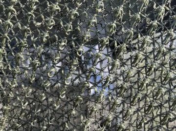 � ������ ����������� ���������� ��������������� ���� � ��� ����� ���������������� ����� �����������, �������� ��� �������: