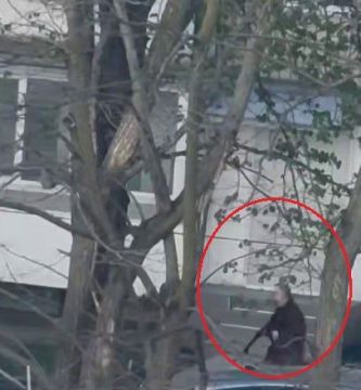 �������� � �����: ����������� ���� 4 ��������