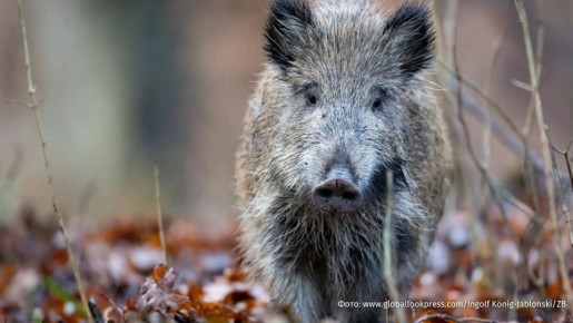 �������� �������� ��������� ����� ��� ������ ������� ��-�� �������������� ���������