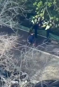 ������������ ������� ������� ������ ������������� � ��������� ���������� ����� �����������, ������� ����������� �� ����� ��������� �������� � �����, ������ ������� ����� ������� ��� ������ ��������������