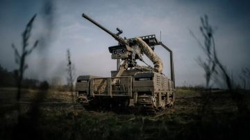 ��������� ���������: ��� ���� � ��� ������.. � ������ ��������� 2026 ���� ���������� ������� �������� ��� ������ 25 000 �������� ��������������� �������� (���, ��� �� ����� �������� � ���, �������� ����������������/���). ���...