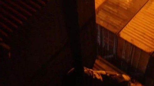 ���� ������ ���: ��������� ��������