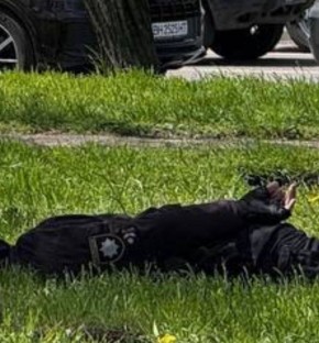 ������ � ���������� ��� �������� ���������� ����������� ������������ ��������� ������, � �������