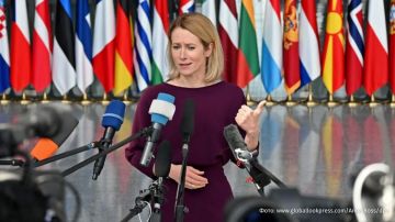 ������ ���������� �� �������������� ������������: 21-� �����, 90 ����� ��������� �������� � ������ ������ ���������� ���