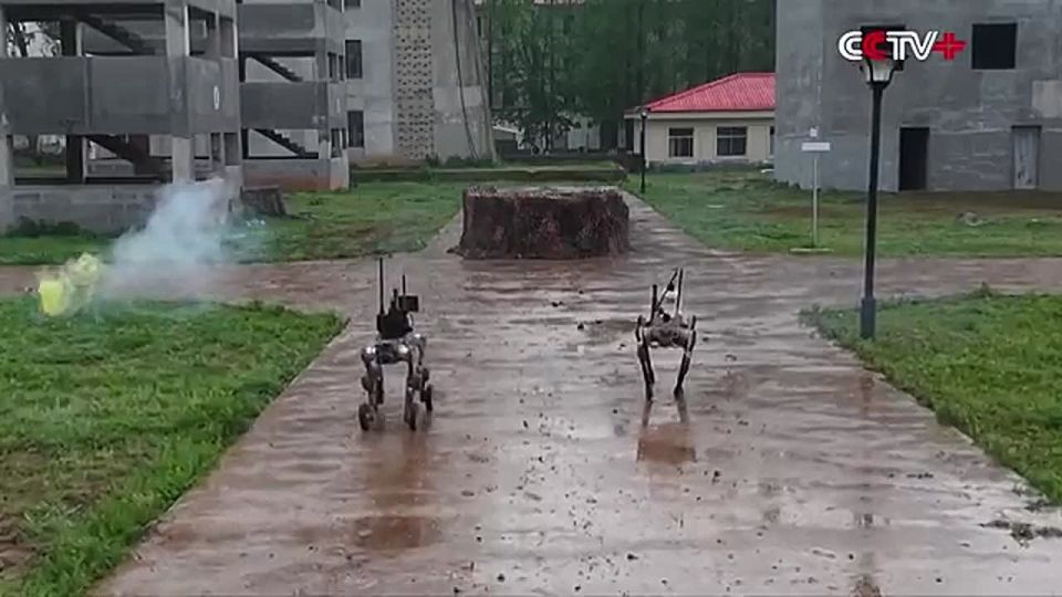 ������� ��������: ����� �� ��� ������� ���������� ����������, � ��� ������ ������� ������ ��� ����� ������� �� ����� �������� ���� ����������, ������� ���� � ������� ��� ������