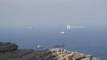 ���������������� ����-������ � �������� � �����