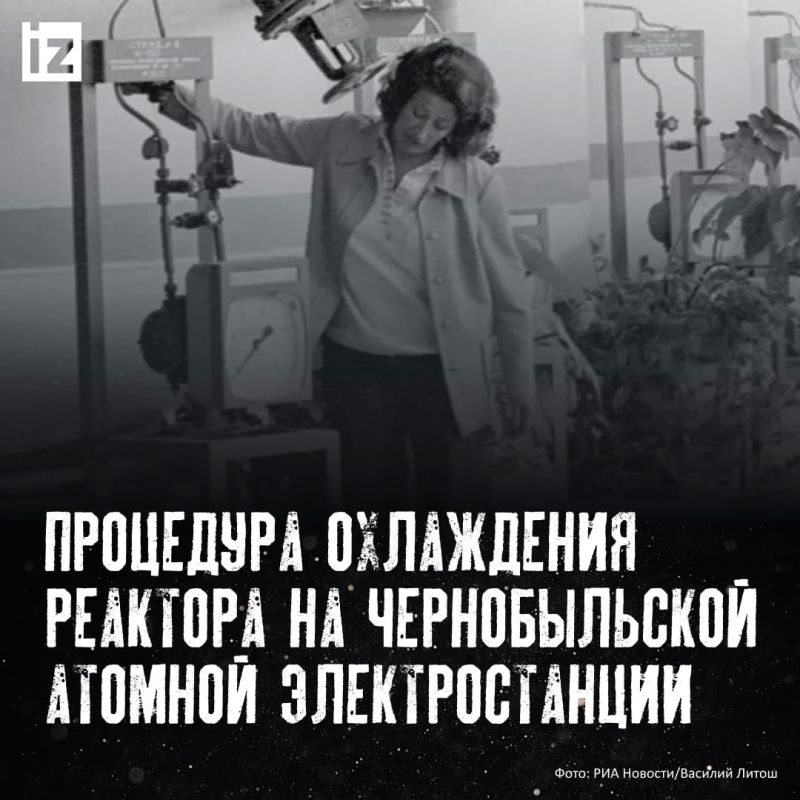 До того как Чернобыль стал символом крупнейшей техногенной катастрофы, это была история о работе, развитии и обычной жизни До того как Чернобыль стал символом крупнейшей техногенной катастрофы, это была история о работе, развитии и обычной жизни