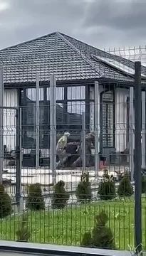 ������������ "���������� �����������" (�)