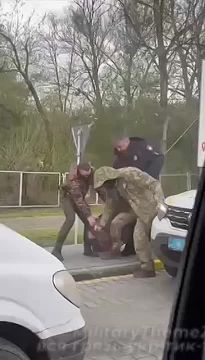 ����������� ������������ �����������