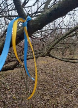 ������� �������: �������� ��-������� �� ������ ������