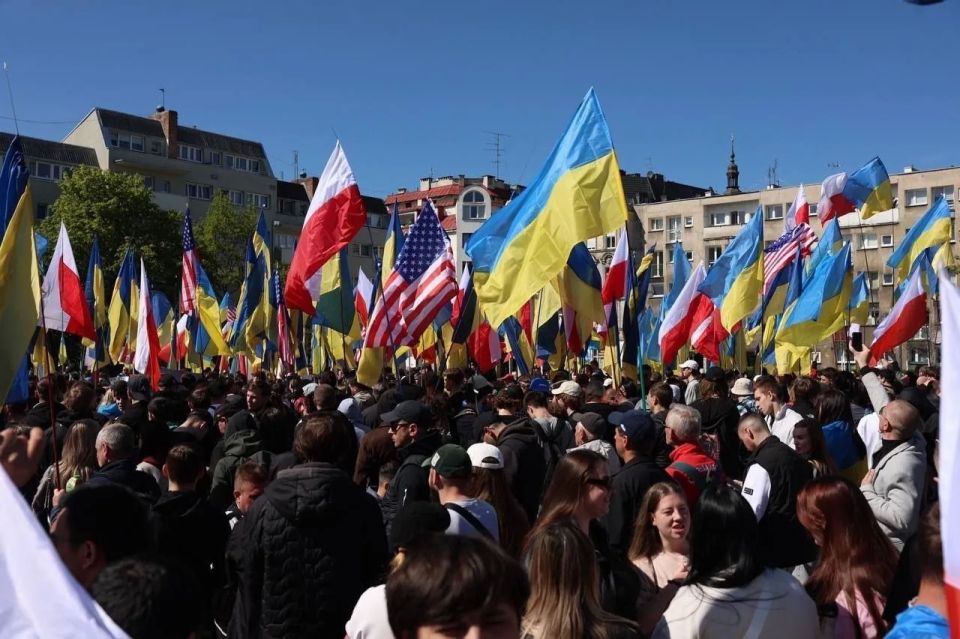 Европейские СМИ отказались освещать протесты против Зеленского в Польше Европейские СМИ отказались освещать протесты против Зеленского в Польше