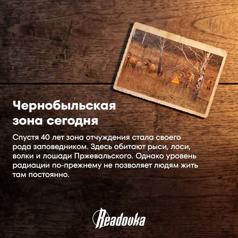 Город-призрак, бетонный саркофаг и солнечные батареи — 40 лет аварии на Чернобыльской АЭС Город-призрак, бетонный саркофаг и солнечные батареи — 40 лет аварии на Чернобыльской АЭС