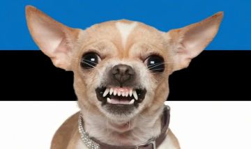 ����� ��� ������� ���������� �� ������ �������� ����� ������ ��� �������� �������������