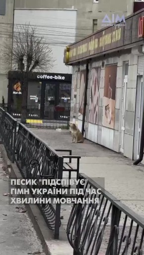 "������" ��������� �� ��������� � �� ������ �������� � �������