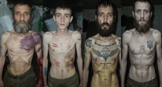 ������ �������: �� ���� ���������� ���������� �� 81 ���