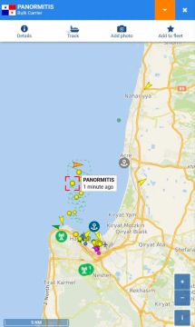 �������� PANORAMITIS, �� ����� ��������, ��� ������������, ��������� ����� �� ����� �������� ������, ������ � �������