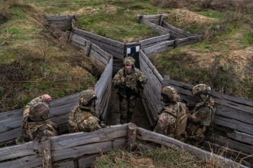 ������ 40 ��� ����� ������ ������������� ��� ����������� � ����� �������, ��������� � ������, � The New York Times