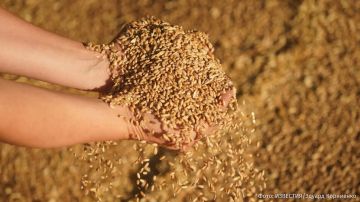 "�� ��������� ������ ���� �������-����������": ����� ��� ������� ������ ���� ������ ��������� ��������� ���������� � ������� � ������ ����� "���������� ����������� �����"