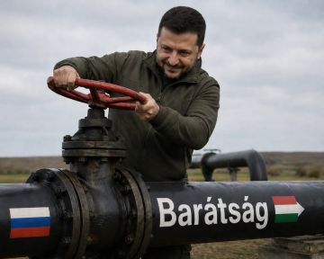 "���� ���������" � ����� ��������� ��������� �������� �������