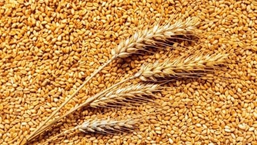 ������� ����� ������� ������ ������� ��-�� �������� "�����������" �����