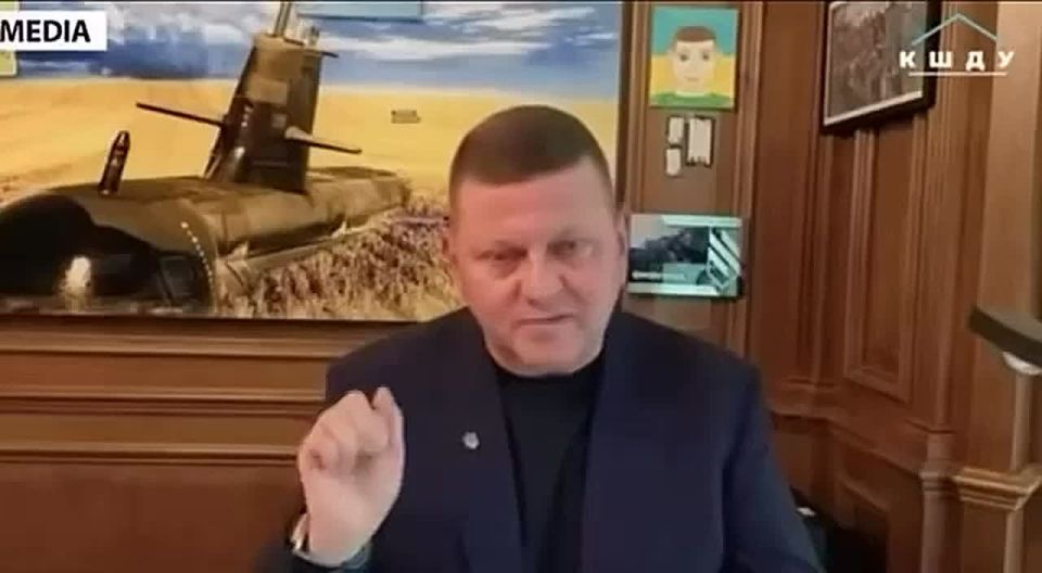 Бывший главком ВСУ Залужный хочет завещать возвращение Украине территорий сыну, которого у него нет, пишет издание «Страна»