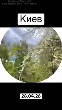 ��������� ������ ������ �� �����