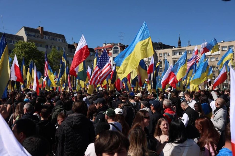 Украинцы протестуют против режима Зеленского Украинцы протестуют против режима Зеленского