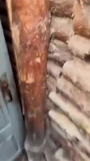 ������� ��������. ����������� ������� ���� ��� ������ ������ ����� ������� �������