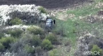 ���� �� ������� �����, ��������� �� �������, ����� �������� �����������, ����� ����������� ������� � �������������� ������� ����� � ������� ����������� ���� ����������� �������� ������������