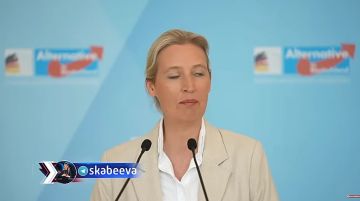 '���������� ���� ���������� ����, �� ����� ������ � ������' - ����� AfD �������