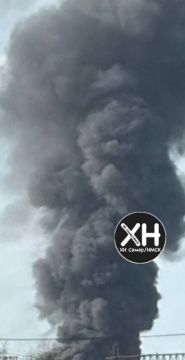 � ������ ������������� � ���������������� ������� ����������� ������� ����� ����� ������ "�������"