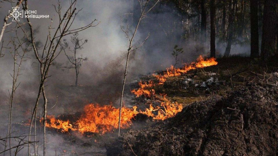 Чернобыльскую зону отчуждения охватил мощный лесной пожар — огонь разгорелся более чем на 1100 гектаров Чернобыльскую зону отчуждения охватил мощный лесной пожар — огонь разгорелся более чем на 1100 гектаров