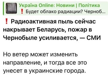 ���� ��������: ���� ��������� � ������� �����������������