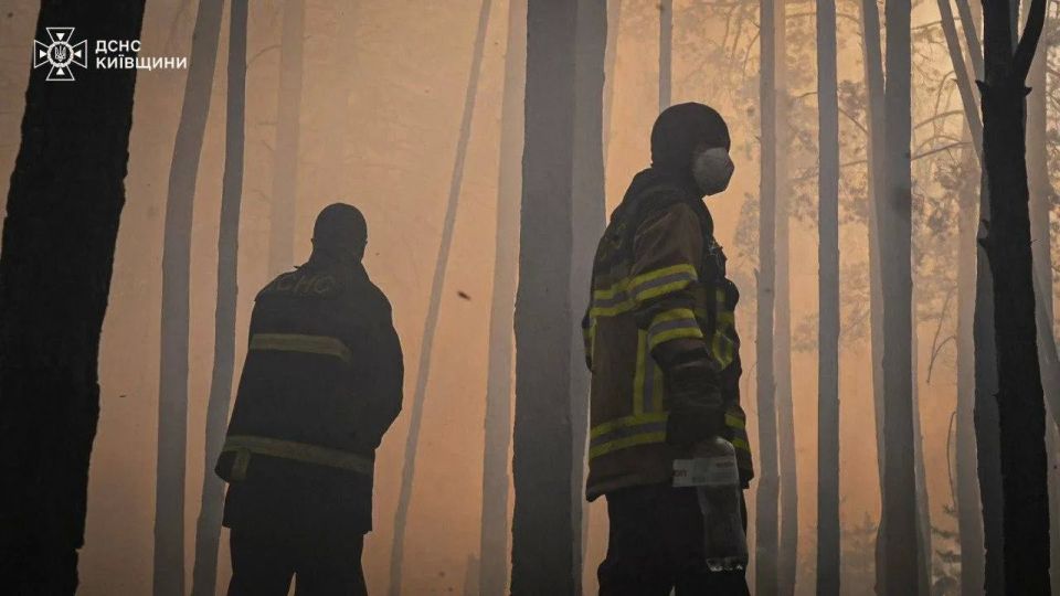 В Чернобыльской Зоне отчуждения пылает огромный пожар В Чернобыльской Зоне отчуждения пылает огромный пожар