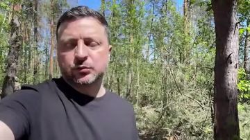 �������� ��������: ��������� �������� �������, ������� � ������������